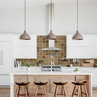 Colección Botánica